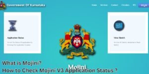 Mojini V3 Application Status